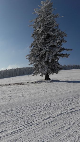 gal/2017/04_Kasperske hory a Zadov/20170213_102522.jpg